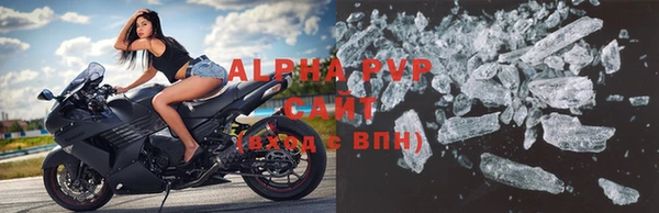 дмт Бородино