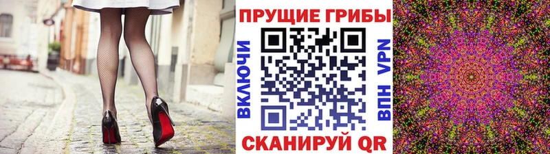 Псилоцибиновые грибы мицелий  Звенигово 