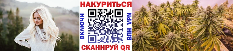 Шишки марихуана планчик Звенигово